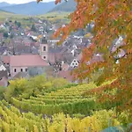Le Dolder De Luxe Classe 4 Etoiles Au Coeur Des Remparts De - Animaux De Compagnie Acceptes