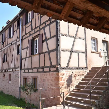 Le Dolder De Luxe Classé 4 étoiles Au Coeur Des Remparts De - Animaux De Compagnie Acceptés Appartamento Riquewihr