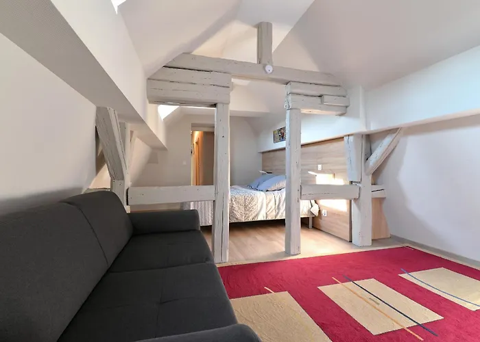 Le Dolder De Luxe Classe 4 Etoiles Au Coeur Des Remparts De - Animaux De Compagnie Acceptes Apartment Riquewihr