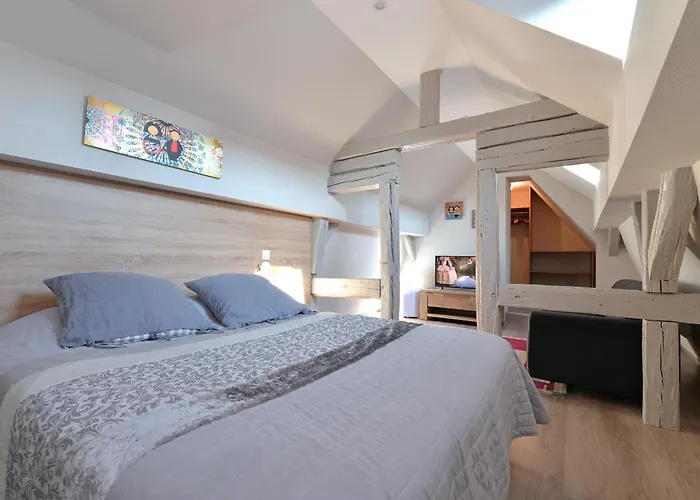 Apartment Le Dolder De Luxe Classe 4 Etoiles Au Coeur Des Remparts De - Animaux De Compagnie Acceptes