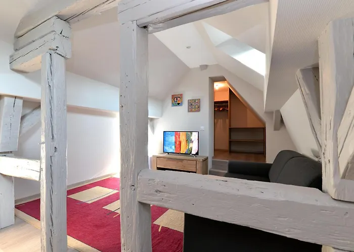 Le Dolder De Luxe Classe 4 Etoiles Au Coeur Des Remparts De - Animaux De Compagnie Acceptes * Riquewihr