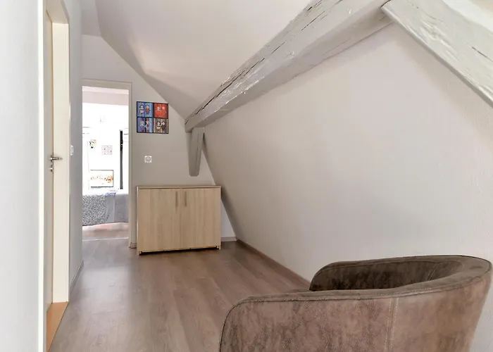 Le Dolder De Luxe Classe 4 Etoiles Au Coeur Des Remparts De - Animaux De Compagnie Acceptes * Riquewihr