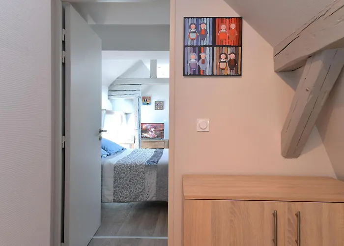 Apartment Le Dolder De Luxe Classe 4 Etoiles Au Coeur Des Remparts De - Animaux De Compagnie Acceptes