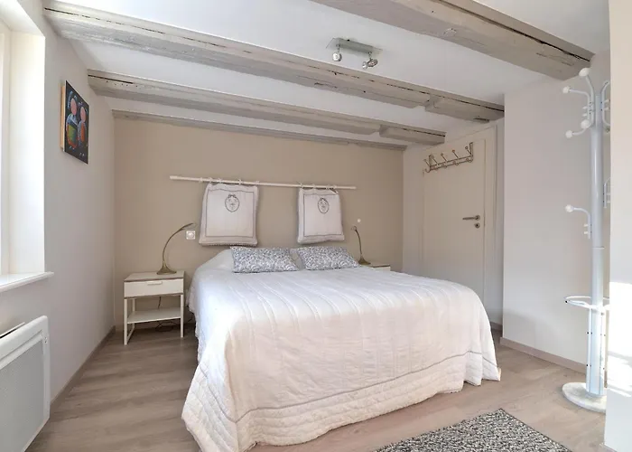 Le Dolder De Luxe Classe 4 Etoiles Au Coeur Des Remparts De - Animaux De Compagnie Acceptes Apartment