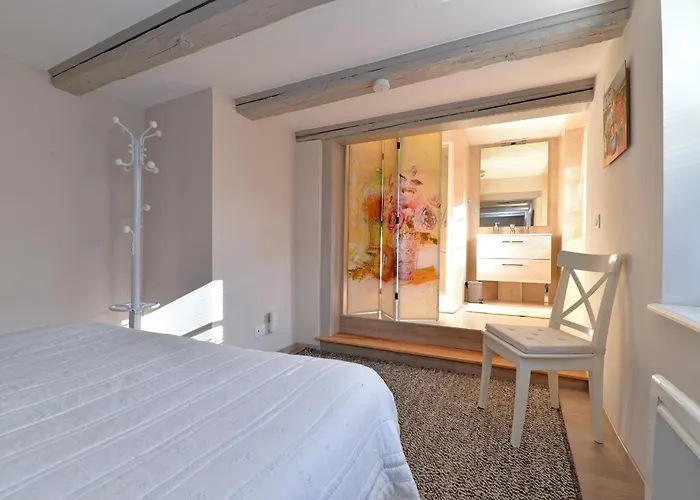 Apartment Le Dolder De Luxe Classe 4 Etoiles Au Coeur Des Remparts De - Animaux De Compagnie Acceptes