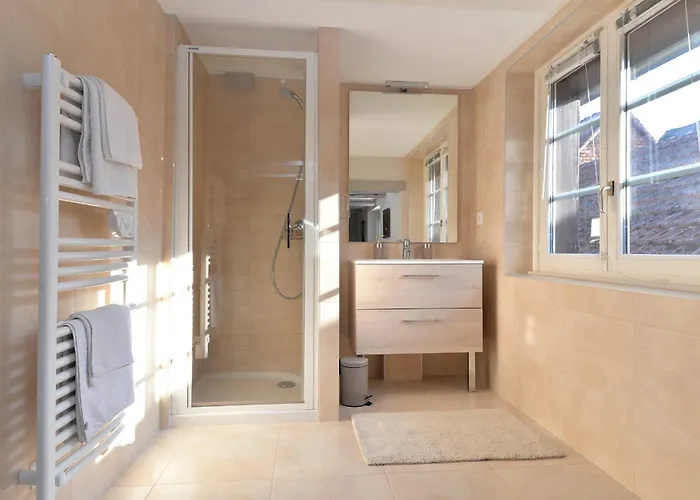 Apartment Le Dolder De Luxe Classe 4 Etoiles Au Coeur Des Remparts De - Animaux De Compagnie Acceptes *