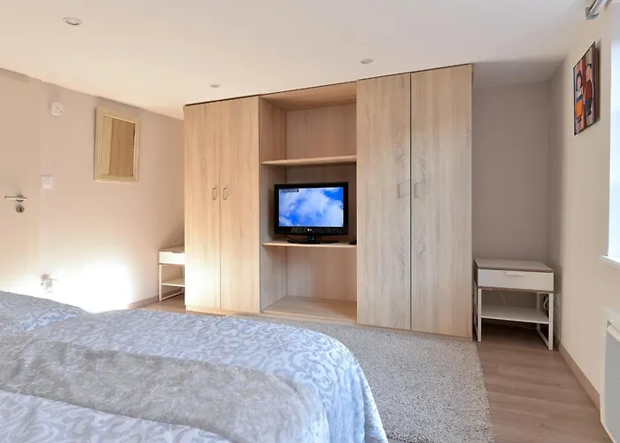 Apartment Le Dolder De Luxe Classe 4 Etoiles Au Coeur Des Remparts De - Animaux De Compagnie Acceptes