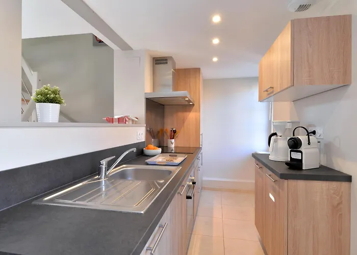 Le Dolder De Luxe Classe 4 Etoiles Au Coeur Des Remparts De - Animaux De Compagnie Acceptes Apartment *