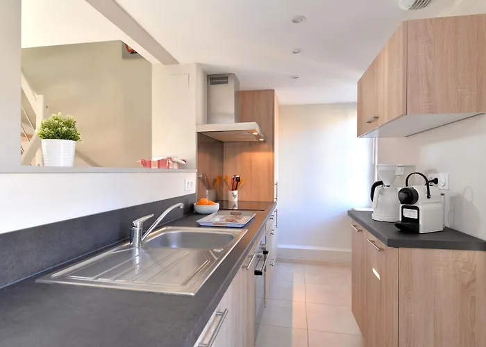 Le Dolder De Luxe Classe 4 Etoiles Au Coeur Des Remparts De - Animaux De Compagnie Acceptes Apartment *