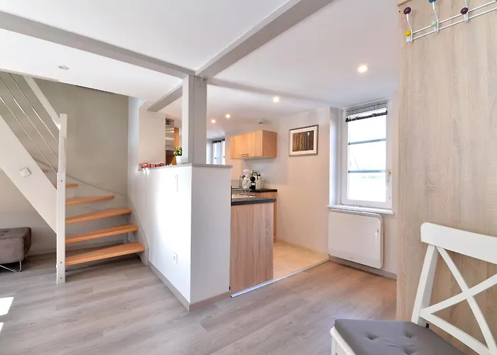 Le Dolder De Luxe Classe 4 Etoiles Au Coeur Des Remparts De - Animaux De Compagnie Acceptes Apartment *
