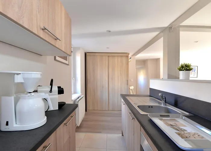 Apartment Le Dolder De Luxe Classe 4 Etoiles Au Coeur Des Remparts De - Animaux De Compagnie Acceptes Riquewihr