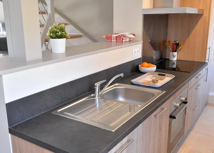 Le Dolder De Luxe Classe 4 Etoiles Au Coeur Des Remparts De - Animaux De Compagnie Acceptes Apartment