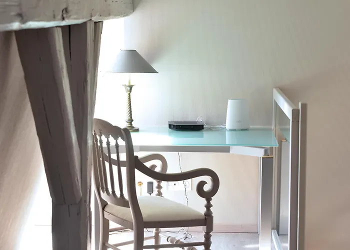 Le Dolder De Luxe Classe 4 Etoiles Au Coeur Des Remparts De - Animaux De Compagnie Acceptes Apartment