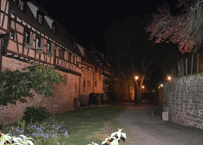Apartment Le Dolder De Luxe Classe 4 Etoiles Au Coeur Des Remparts De - Animaux De Compagnie Acceptes